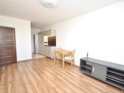 Wohnung 2+kk zur Miete, 46 m² (2 von 18)