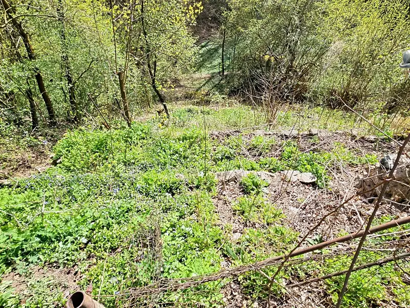 Prodej chaty 24 m², pozemek 889 m², Brno – náhled fotky 3