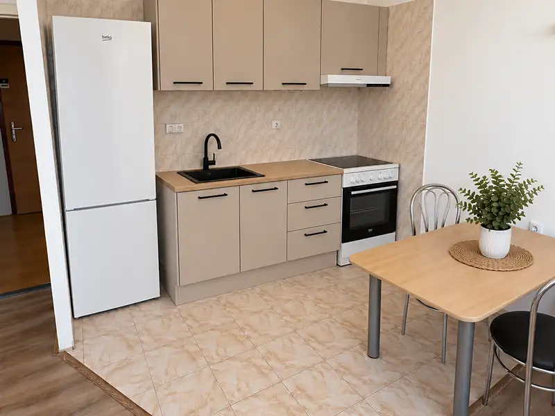 Pronájem bytu 2+kk 42 m², Ústí nad Labem – náhled fotky 1