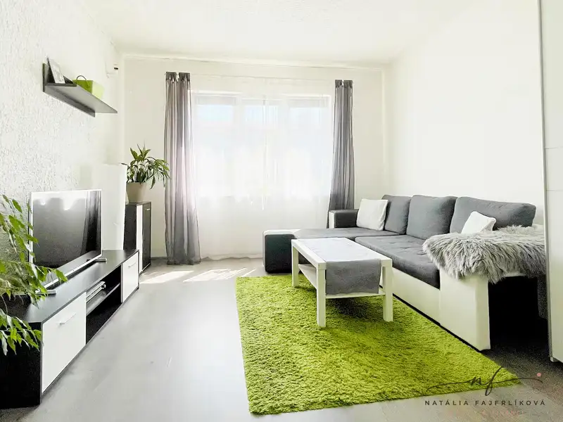 Pronájem bytu 2+1 64 m², Ostrov – náhled fotky 1