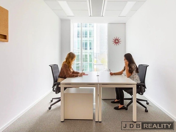 Pronájem komerčního prostoru, 190 m² (6 z 12)