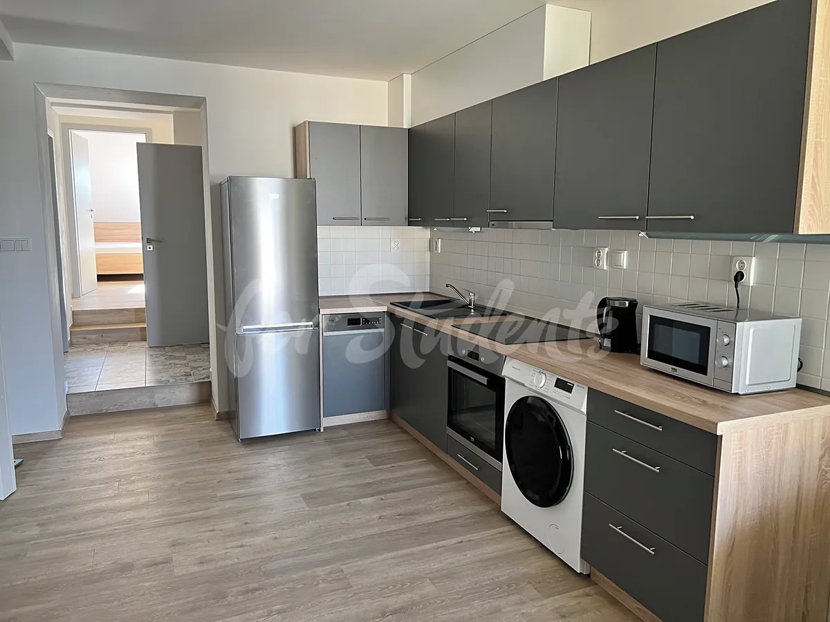 Pronájem bytu 3+kk 58 m²