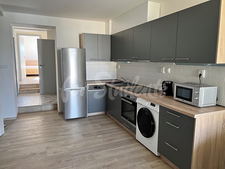 Wohnung 3+kk zur Miete, 58 m² (1 von 9)