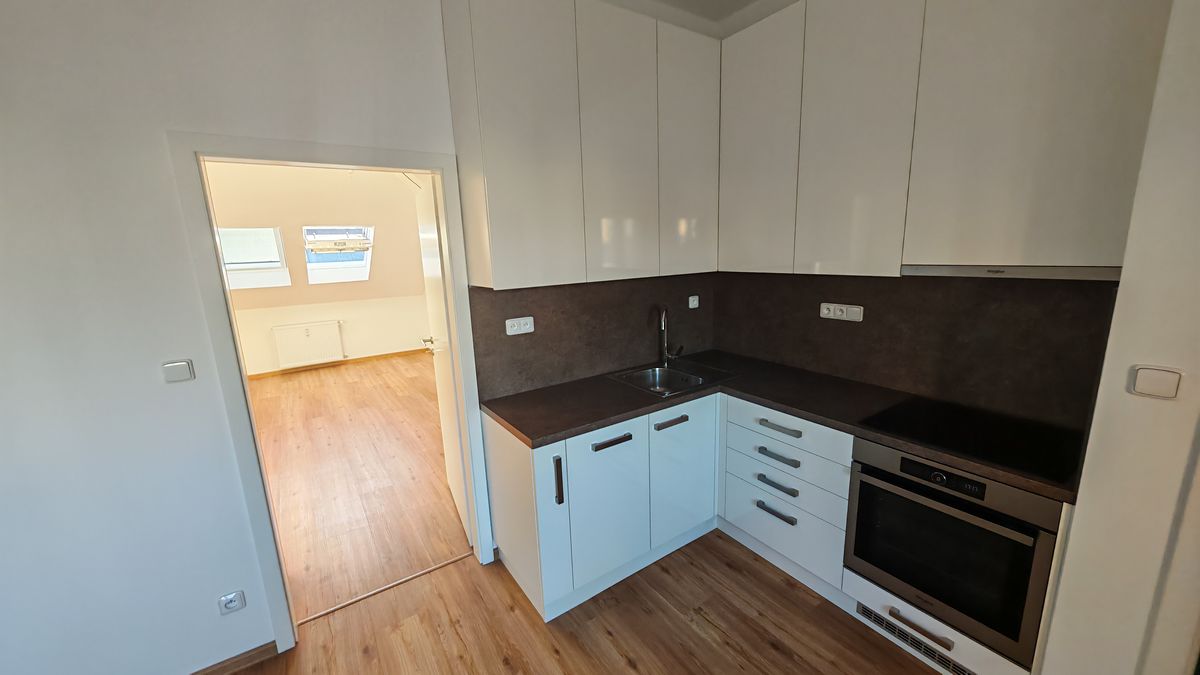 Pronájem bytu 1+1 56 m² – fotografie 4