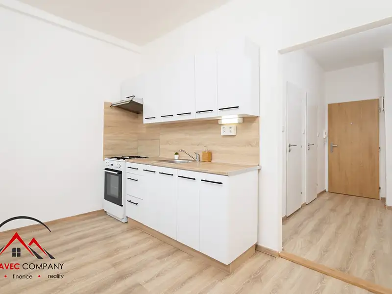Pronájem bytu 1+1 40 m², Český Těšín – náhled fotky 2