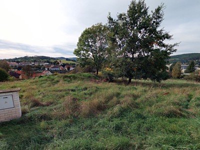Grundstück zum Kauf, 1.169 m² (2 von 4)