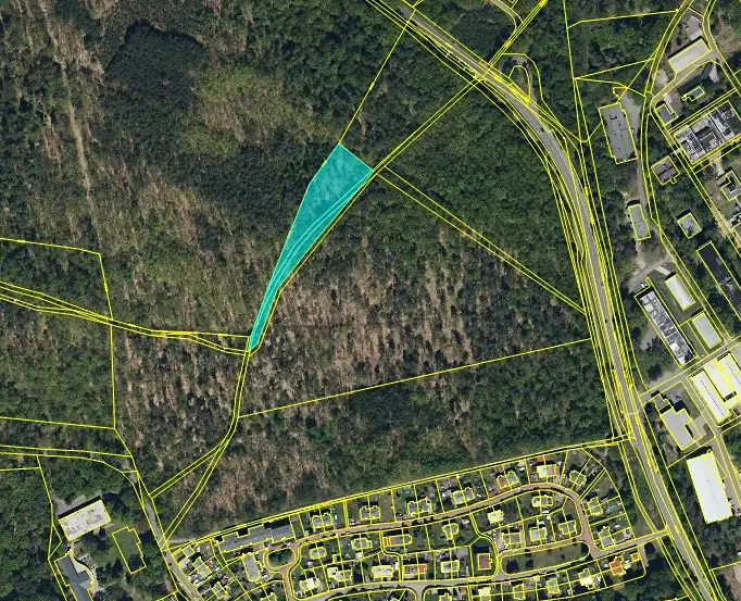Prodej lesa 4433 m², Rybitví – náhled fotky 2