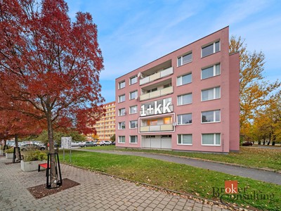 Prodej bytu 1+kk, 25 m² (3 z 10)