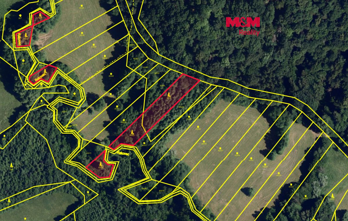 Prodej lesa 3765 m², Ruprechtov – fotka 1 z 3