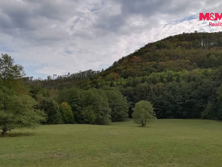 Prodej pozemku, 3 765 m² (3 z 3)