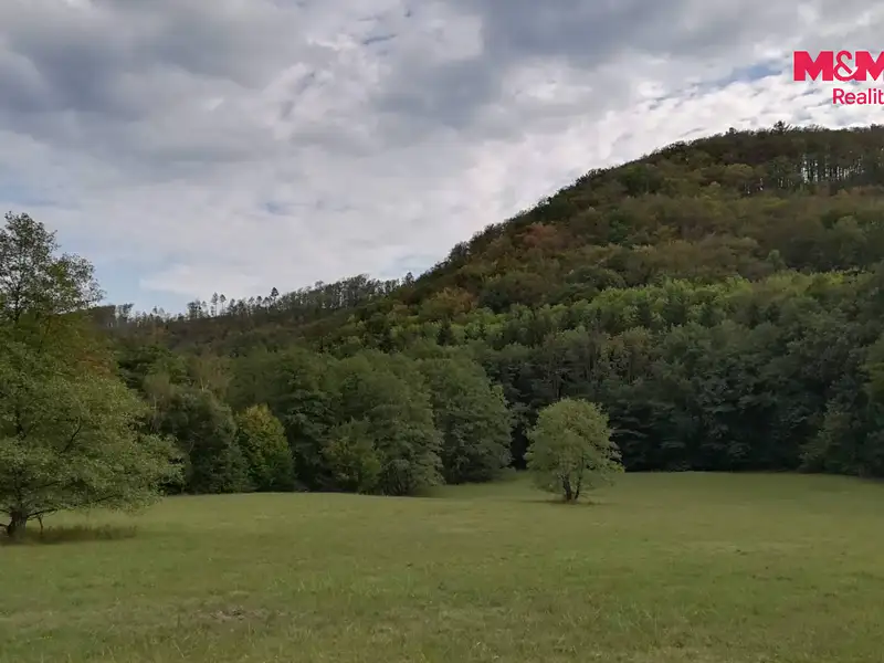 Prodej lesa 3765 m², Ruprechtov – náhled fotky 3