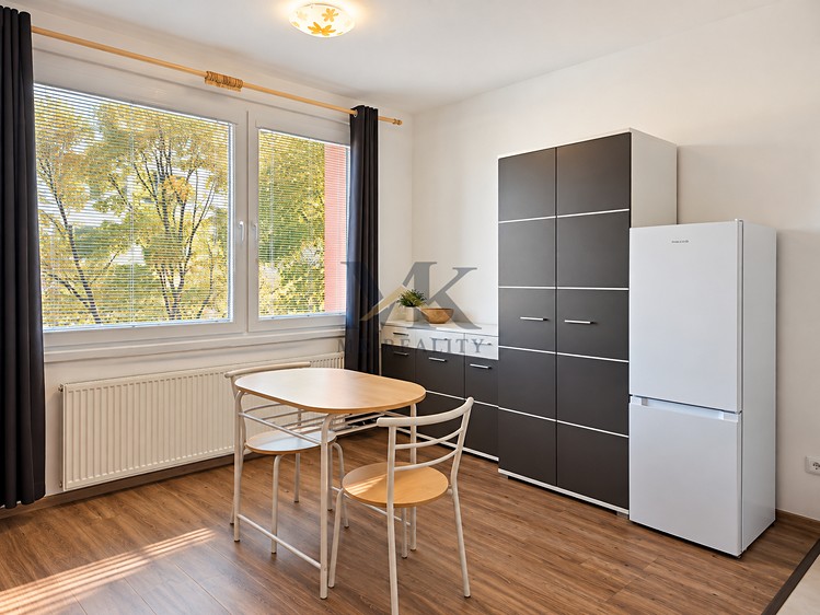 Wohnung 1+kk zur Miete, 21 m² (1 von 9)
