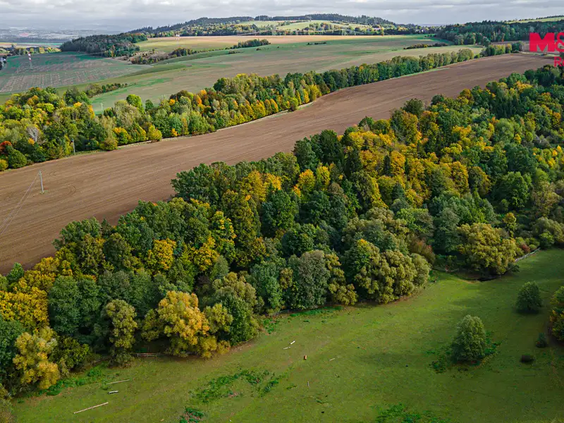 Prodej lesa 29949 m², Opatov – náhled fotky 2