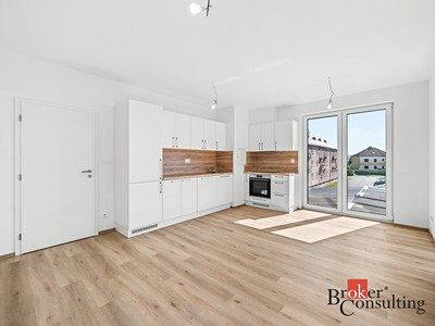 Wohnung 2+kk zur Miete, 56 m² (3 von 10)