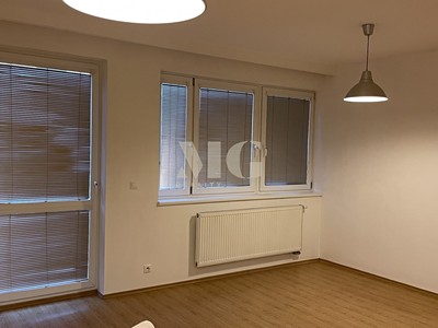 Pronájem bytu 1+kk, 54 m² (3 z 9)