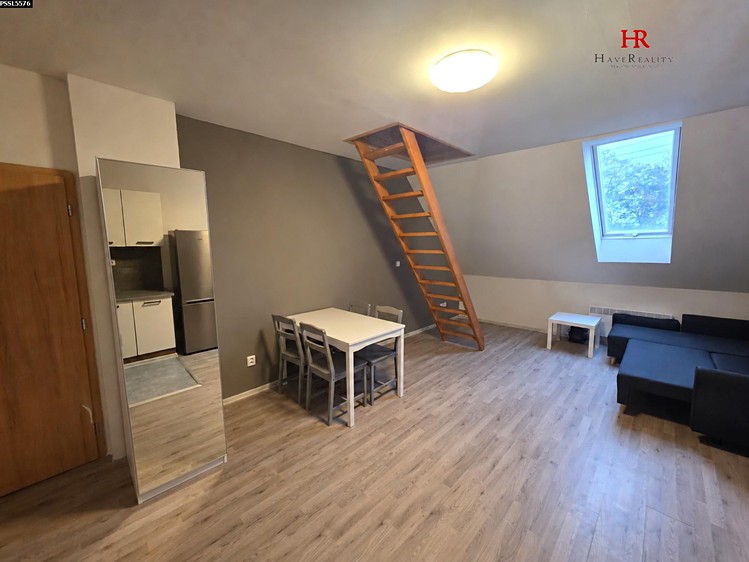 Wohnung 1+kk zur Miete, 56 m² (5 von 10)