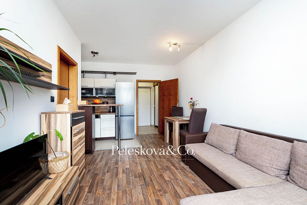 Pronájem bytu 2+kk 45 m² – fotografie 2