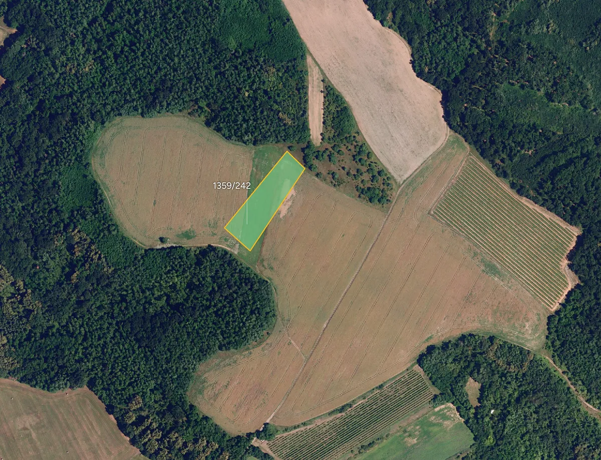 Prodej pole 6359 m²