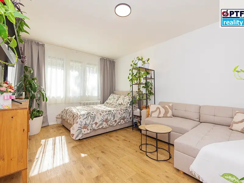 Prodej bytu 1+1 40 m², Plzeň – náhled fotky 3