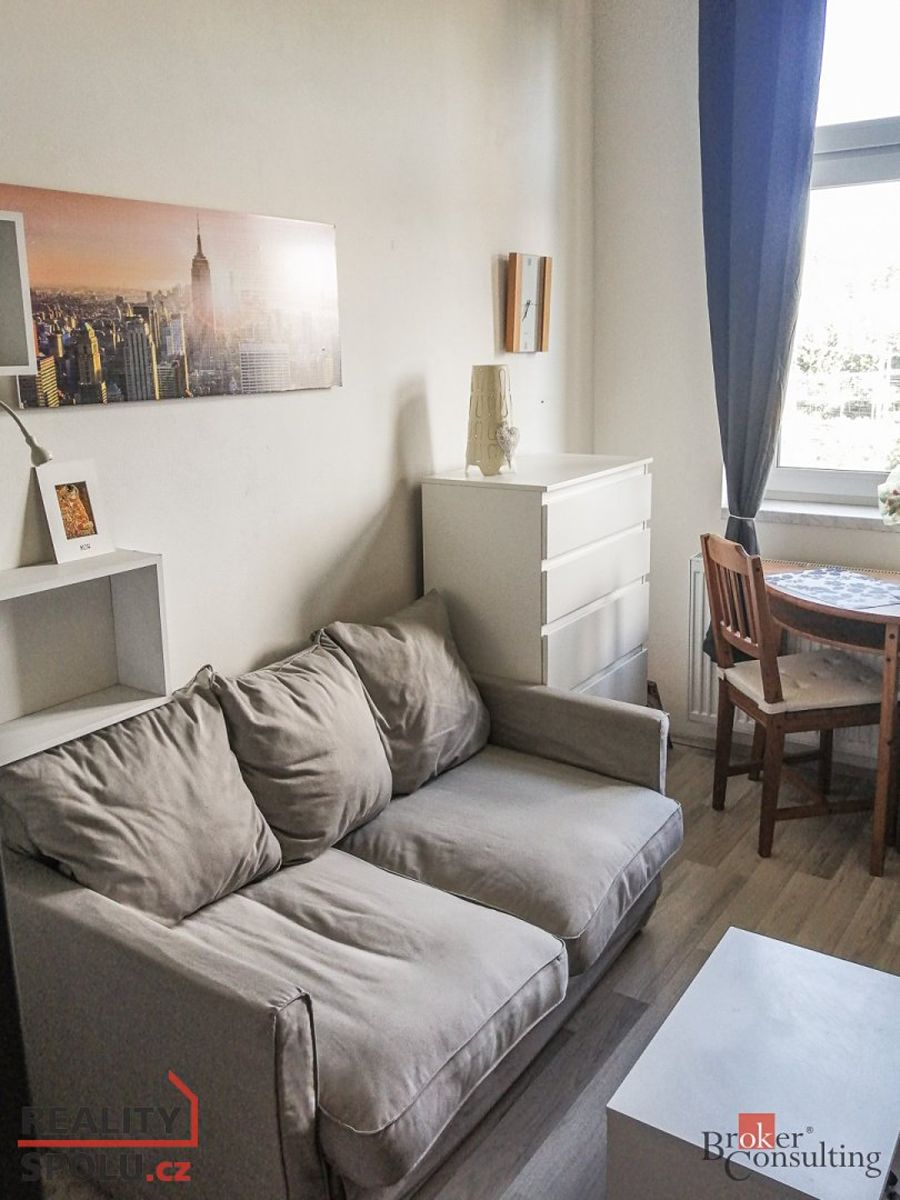 Pronájem bytu 1+kk 25 m² – fotografie 4