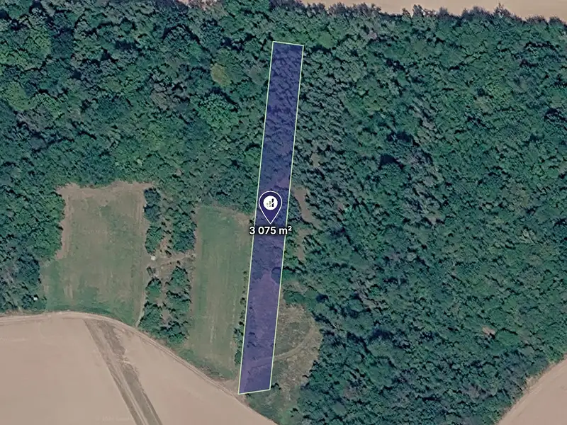 Prodej lesa 3075 m², Kounice – náhled fotky 1