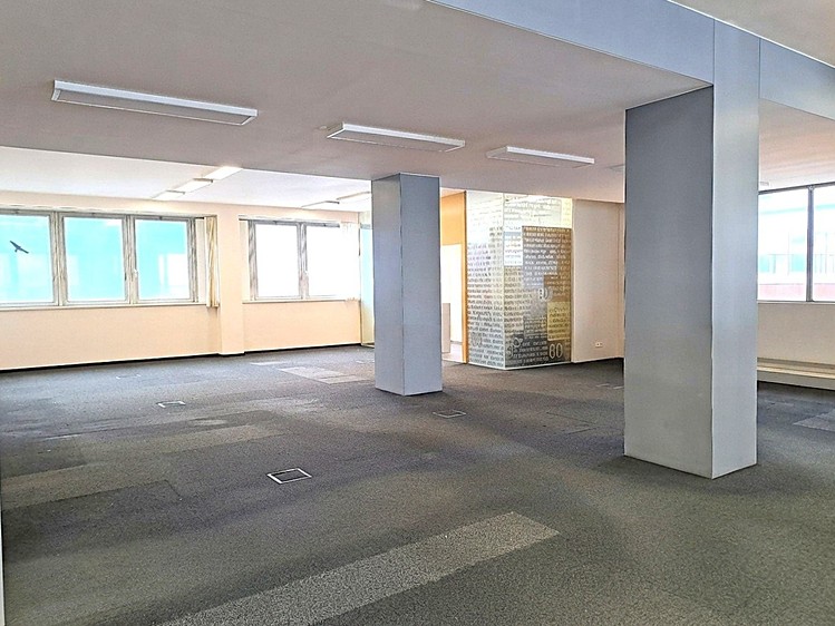 Pronájem komerčního prostoru, 321 m² (7 z 11)