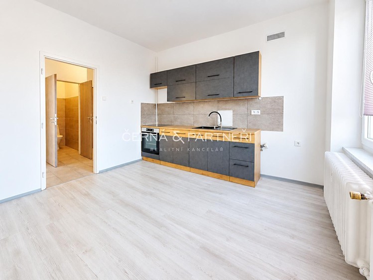 Pronájem bytu 2+1, 56 m² (1 z 7)