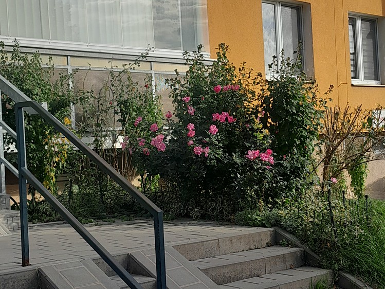 Ostatní