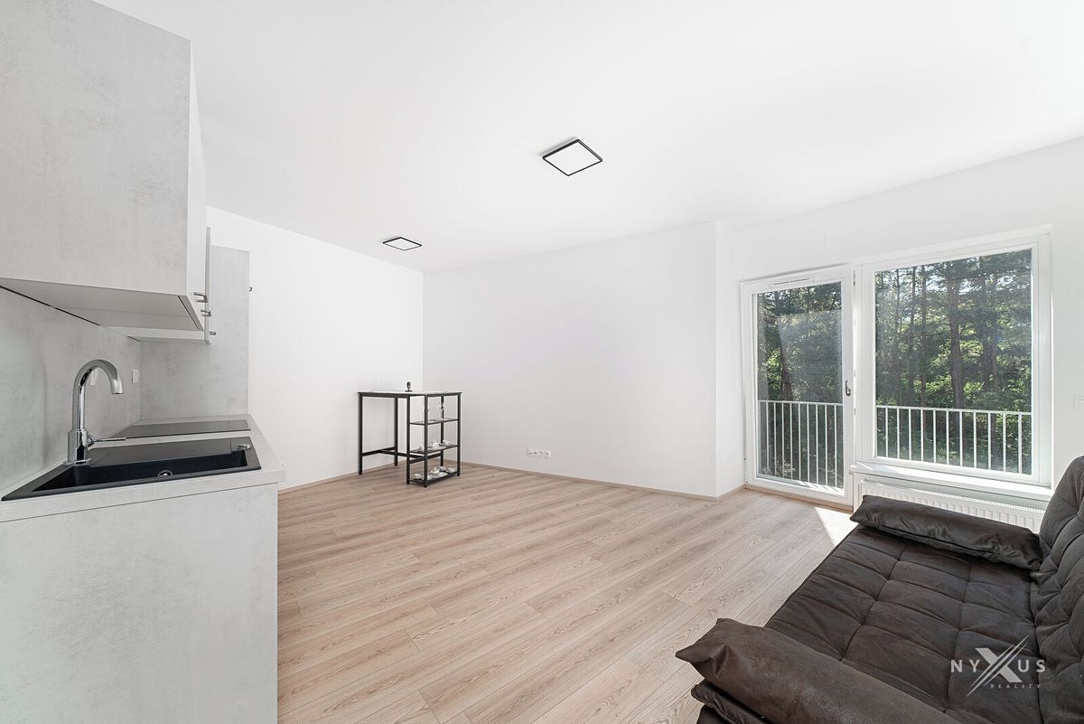Pronájem bytu 1+kk 30 m²