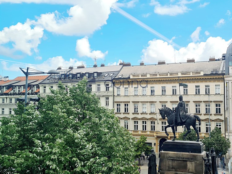Pronájem komerčního prostoru, 652 m² (10 z 18)