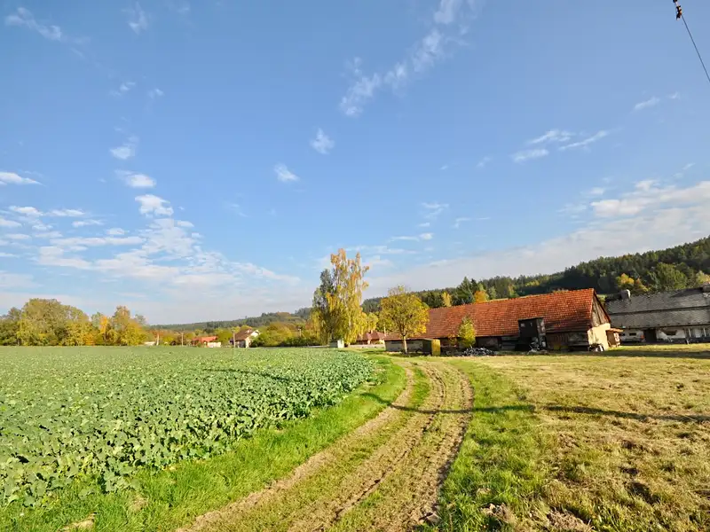Prodej zemědělské usedlosti 250 m², pozemek 1964 m², Petrovice II – náhled fotky 3