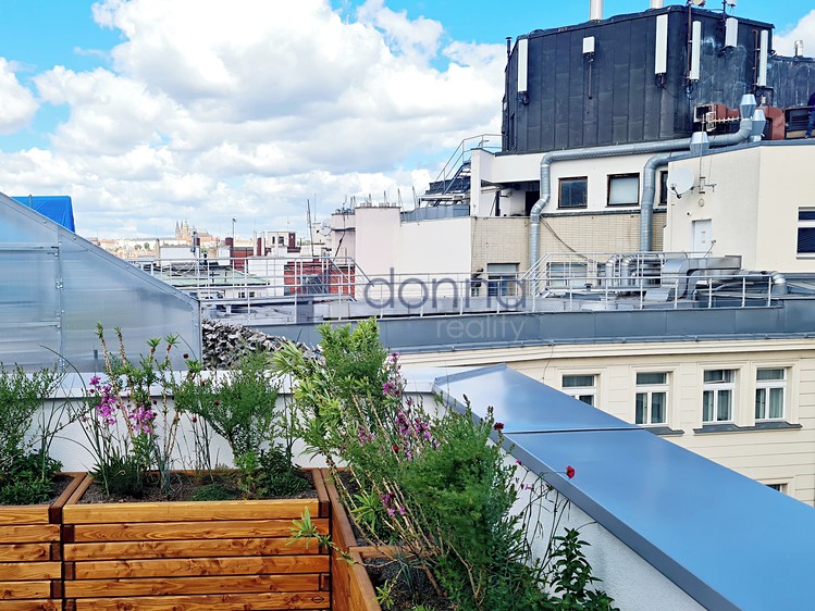 Комерційне приміщення в оренду, 2 141 м² (12 з 28)