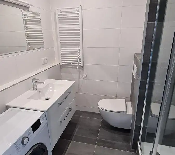 Pronájem bytu 1+1 45 m², Ostrava – náhled fotky 2