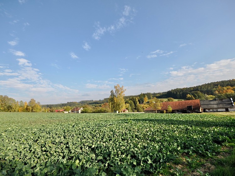 Prodej domu, 250 m² (6 z 11)