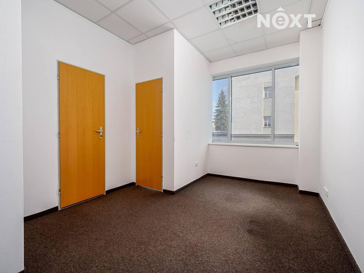 Prodej komerčního prostoru, 291 m² (8 z 13)