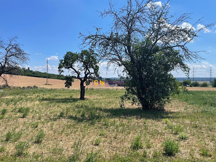 Grundstück zum Kauf, 1.090 m² (10 von 17)