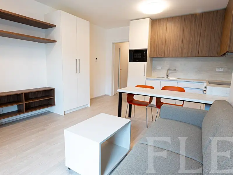 Pronájem bytu 1+kk 32 m², Praha – náhled fotky 2