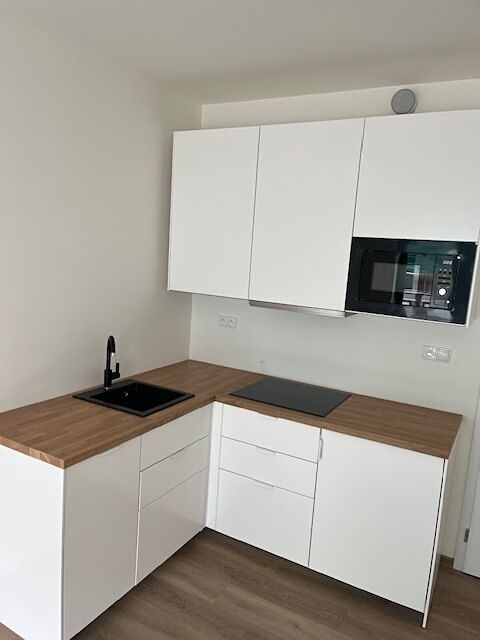Pronájem bytu 1+kk 25 m² – fotografie 3