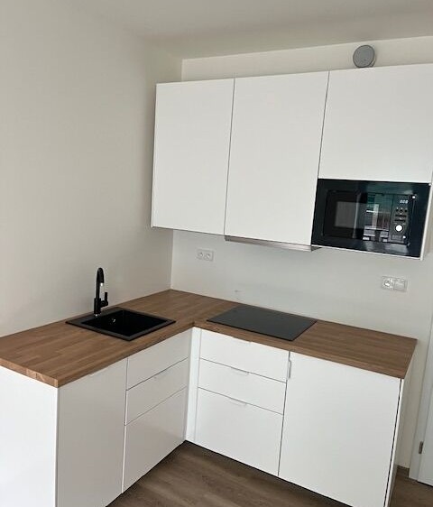 Wohnung 1+kk zur Miete, 25 m² (3 von 9)
