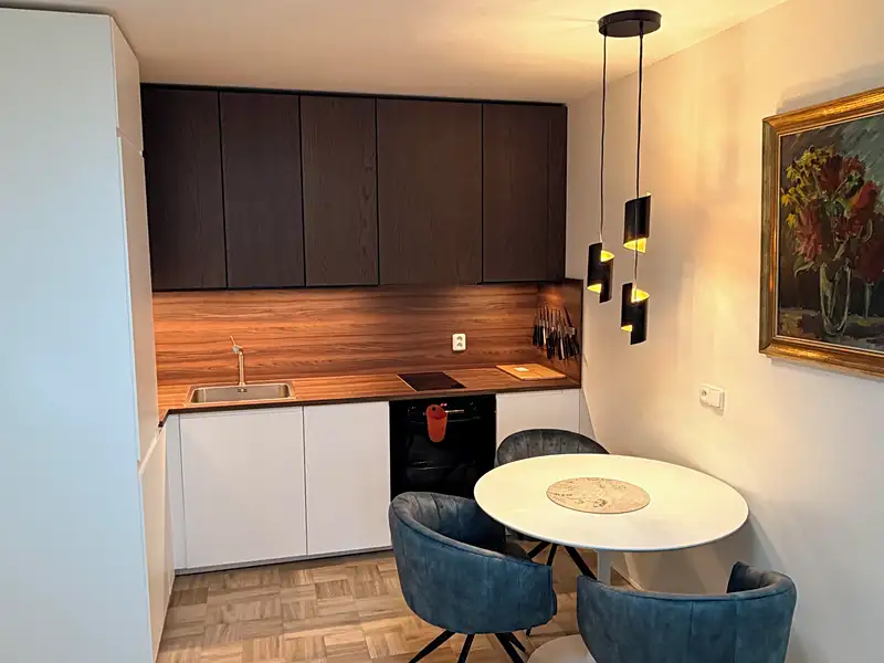 Pronájem bytu 2+kk 50 m², Karlovy Vary – náhled fotky 1