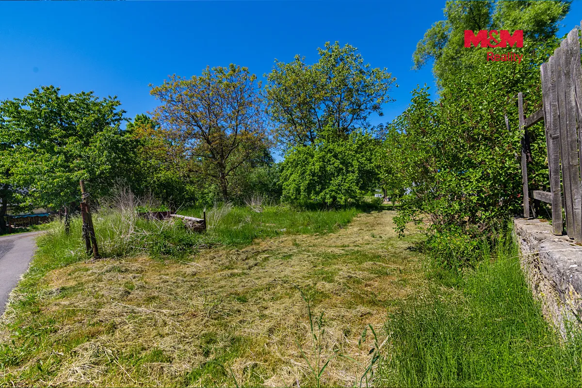 Fotka 7 z 30
