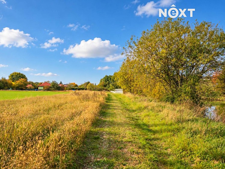 Prodej pozemku, 1 300 m² (4 z 6)