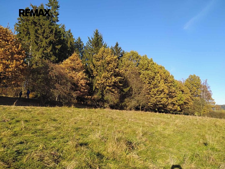 Grundstück zum Kauf, 20.332 m² (5 von 17)