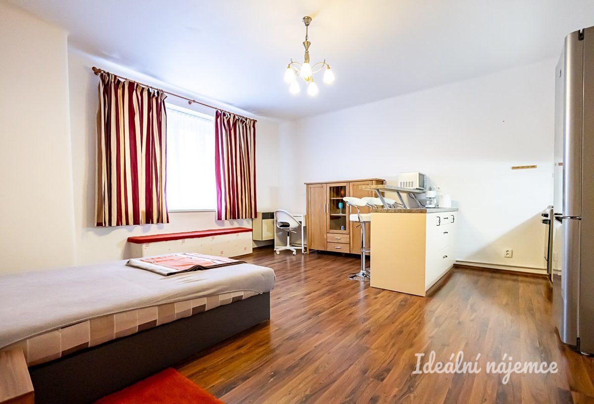 Pronájem bytu 1+kk 38 m²