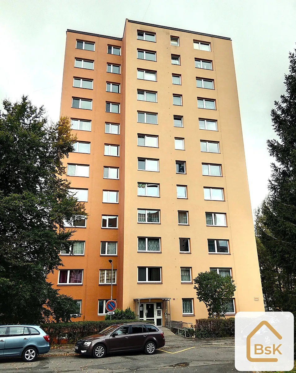 Pronájem bytu 1+1 40 m²