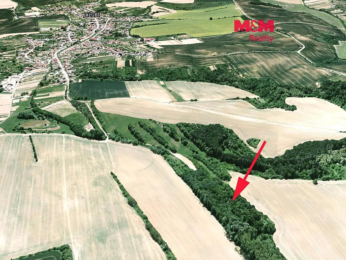 Prodej podílu 3/4 louky 1189 m²