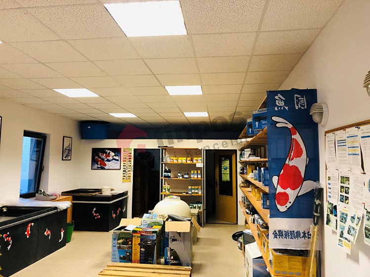 Pronájem komerčního prostoru, 79 m² (5 z 8)