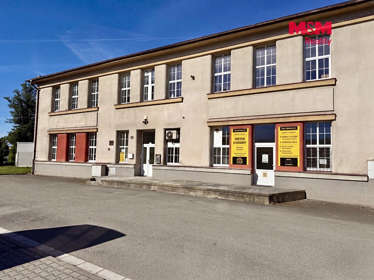 Pronájem komerčního prostoru, 244 m² (9 z 11)