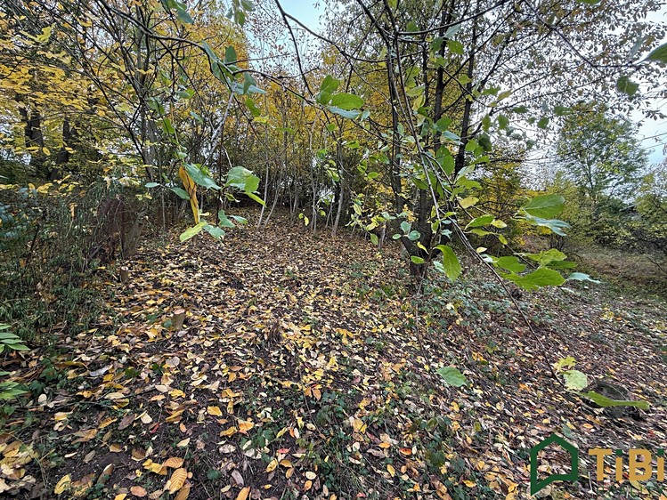 Grundstück zum Kauf, 541 m² (2 von 9)