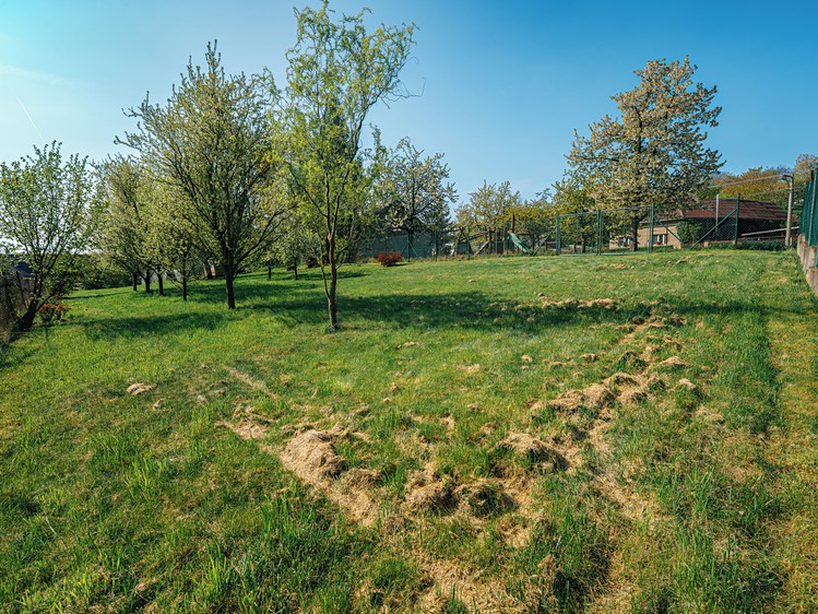 Prodej pozemku, 1 301 m² (7 z 12)